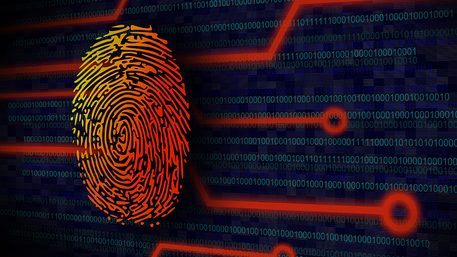 Small Businesses Are Going to Need Bug Bounties to Combat Cyber Attacks
